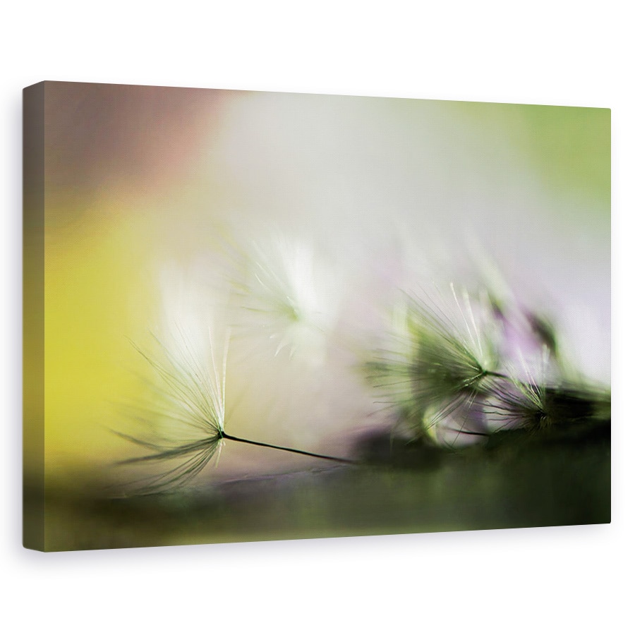 Tablou canvas - in zori, Flori, Verde, Moale, Delicat, 80 x 120 cm