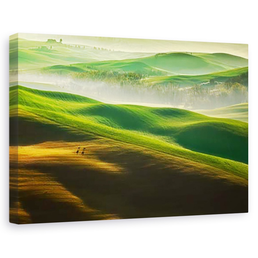 Tablou canvas - Libertate..., Peisaj, Copaci, Campuri, Dimineata, 40 x 60 cm