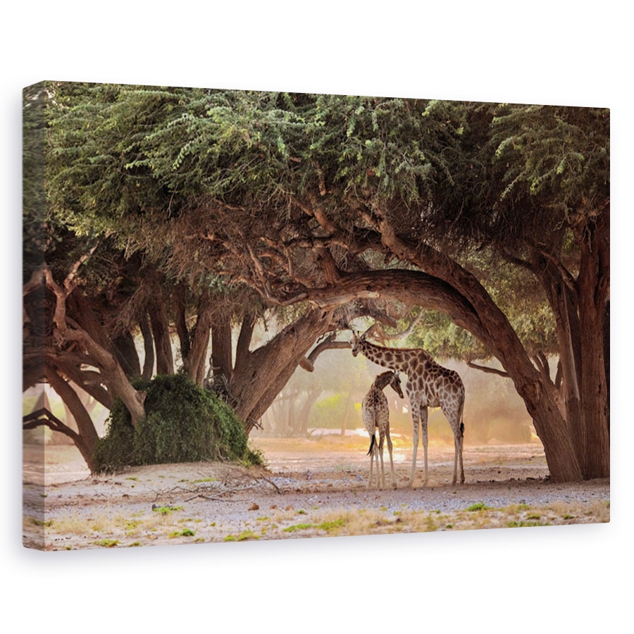 Tablou canvas - Girafa - Namibia, Nature, Africa, Peisaj, Safari, 80 x 120 cm