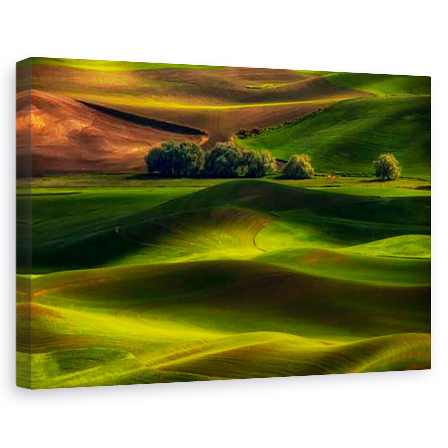 Tablou canvas - Primavara in Palouse, Peisaj, Verde, Camp, Copaci, 60 x 90 cm