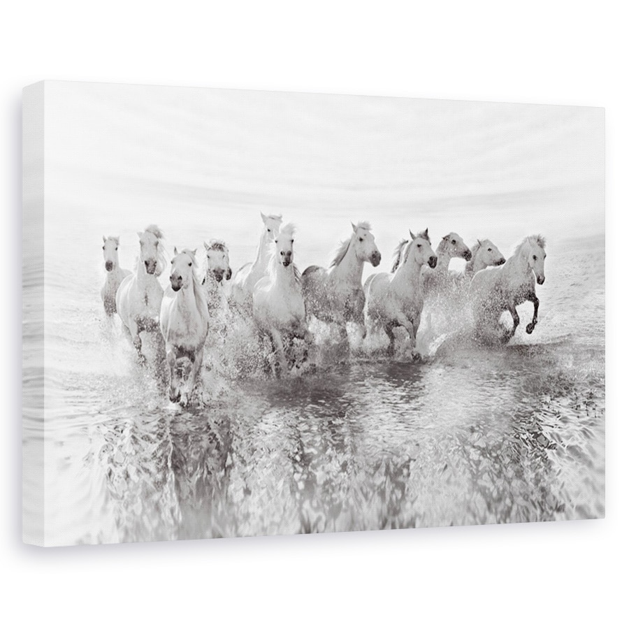 Tablou canvas - Iluzia puterii (13 cai putere), Animal, Actiune, Cai, Alb, 40 x 60 cm