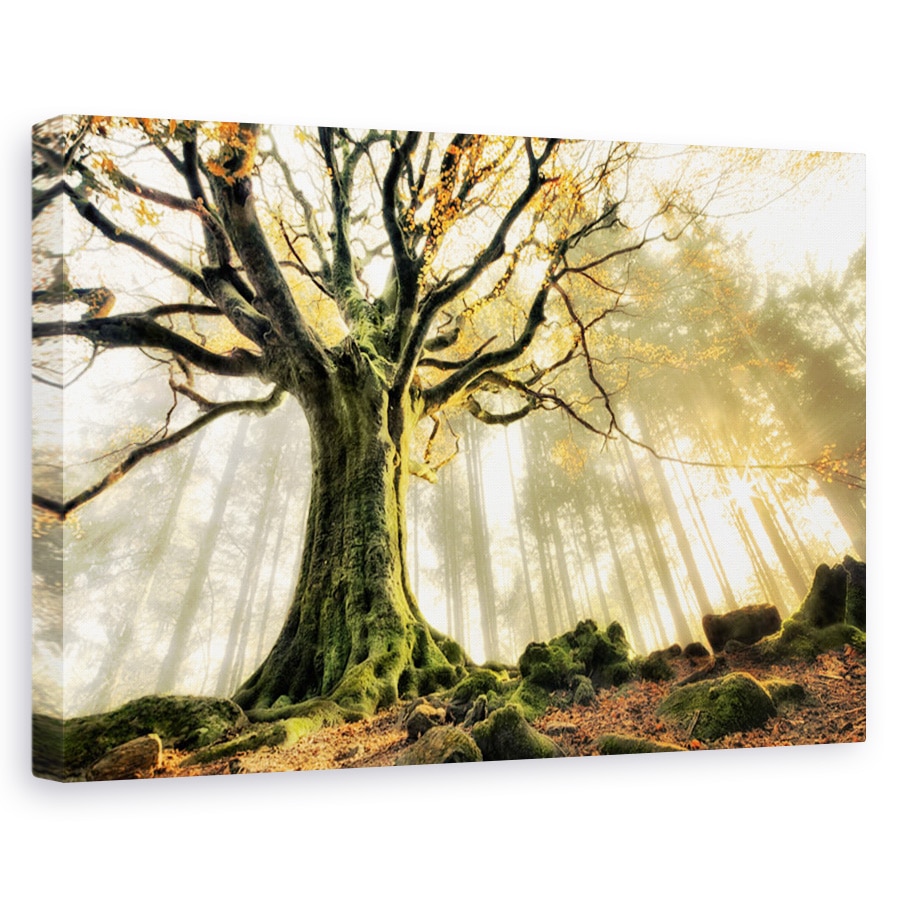 Tablou canvas - Noiembrie, Flori, Galben, Copac, Soare, 80 x 120 cm