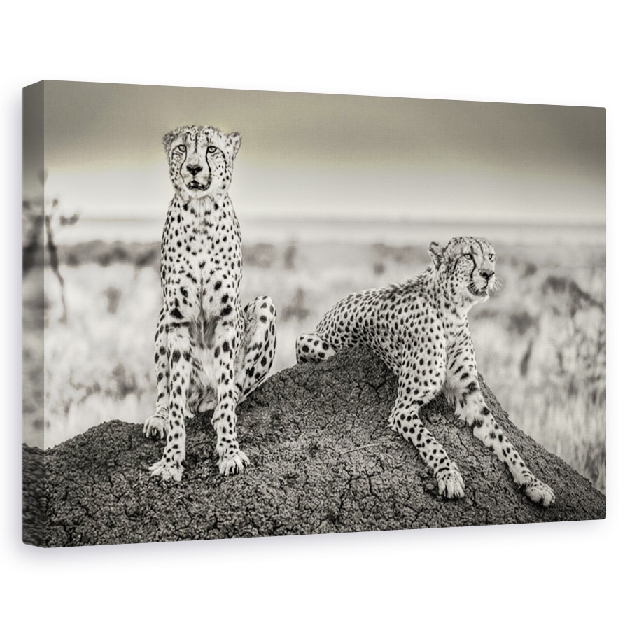 Tablou canvas - Gheparzi la panda, Animal, Camuflaj, Cuplu, Pereche, 40 x 60 cm