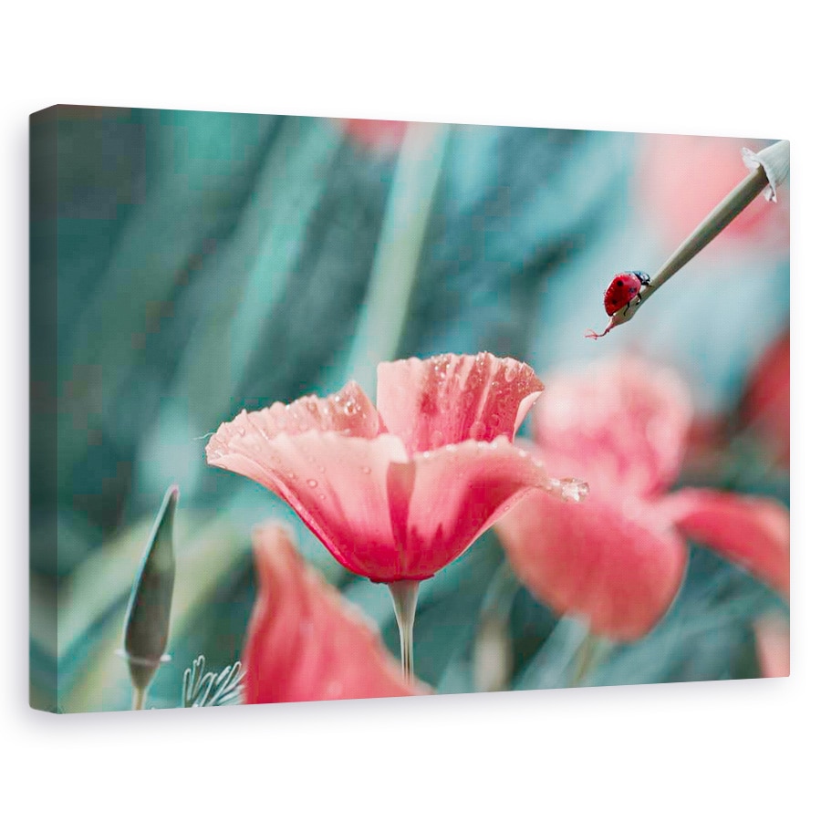 Tablou canvas - Rezerva de cerneala rosie, Flori, Maci, 80 x 120 cm