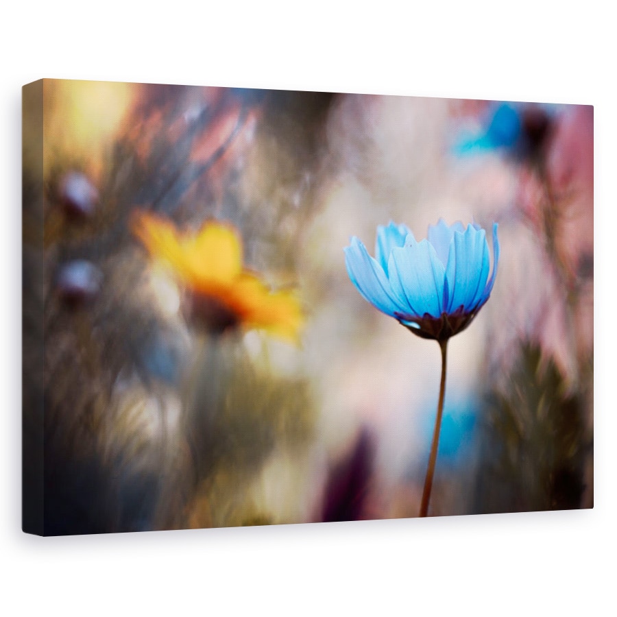 Tablou canvas - Invitatie la dans, Flori, Gradina, Albastru, Cuplu, 80 x 120 cm