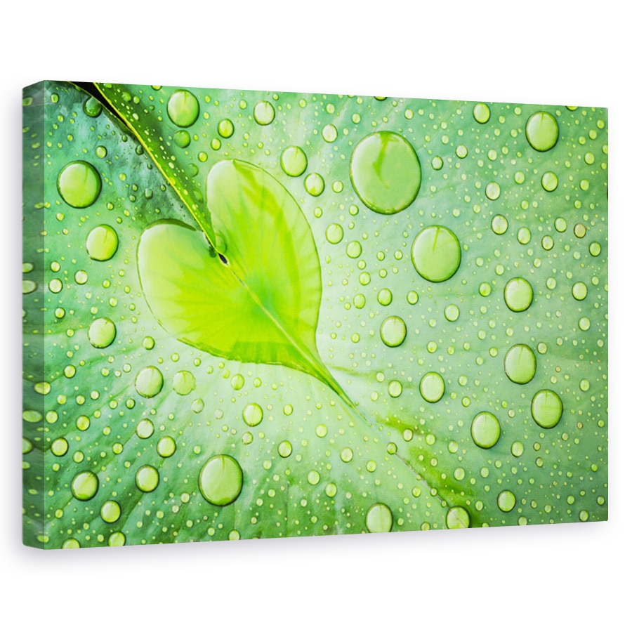Tablou canvas - Inima, Abstract, Picatura, Frunze, Verde, 80 x 120 cm