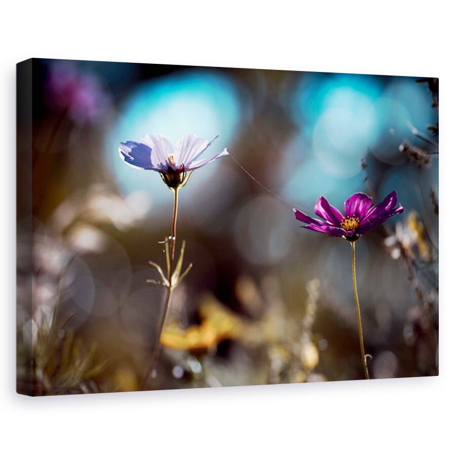 Tablou canvas - Flori mov, Flori, Violet, Cuplu, Pereche, 80 x 120 cm