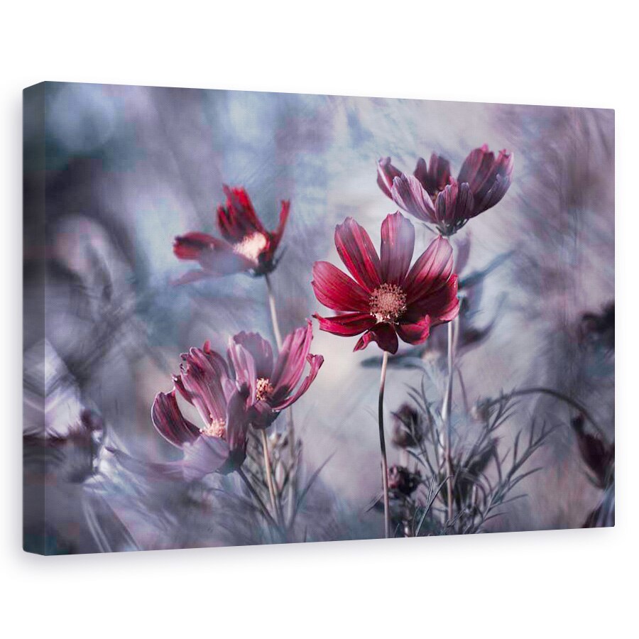 Tablou canvas - Cosmoslicious, Flori, Gradina, Rosu, Pasiune, 40 x 60 cm