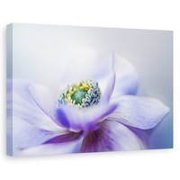 tablou canvas - anemone de caen flori gradina 40 x 60 cm imagen 9_0_
0