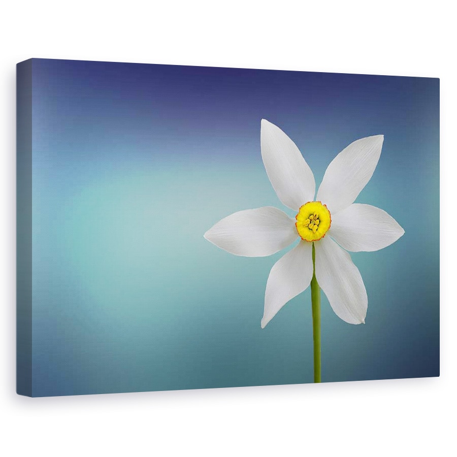 Tablou canvas - Floria Paradisului, Natura moarta, Turcoaz, Simplitate, Minimalism, 40 x 60 cm