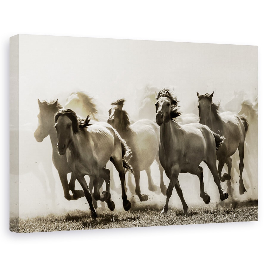 Tablou canvas - Cal, Nature, Galop, Alearga, Tonifiat, 60 x 90 cm