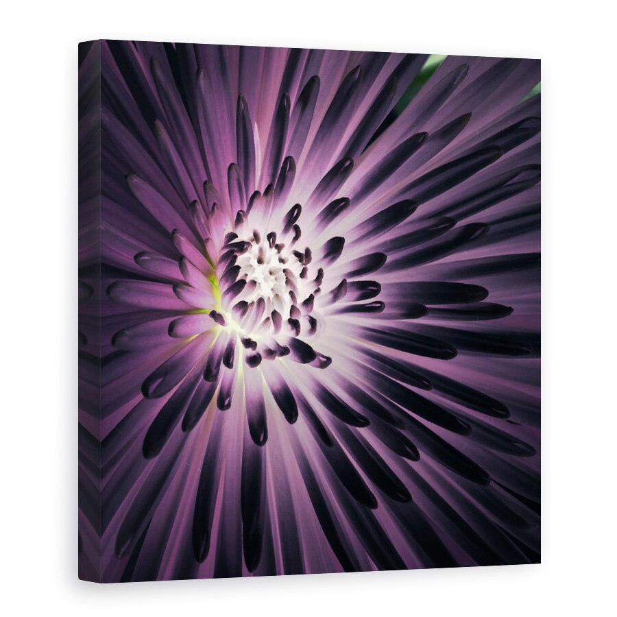 Tablou Canvas - Lumina In Interiorul, Violet, Floare, 90 x 90 cm