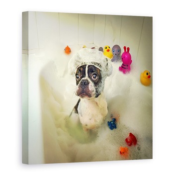 Tablou Canvas - Baie, Spalare, Spuma, Rata, Dragut, 90 x 90 cm Tablou Canvas - Baie, Spalare, Spuma, Rata, Dragut, 90 x 90 cm