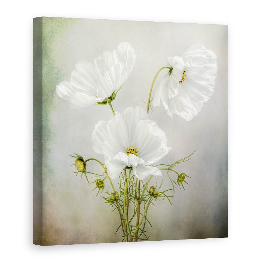 Tablou Canvas - Farmecul Cosmosului, Trio, Alb, Vintage, 90 x 90 cm
