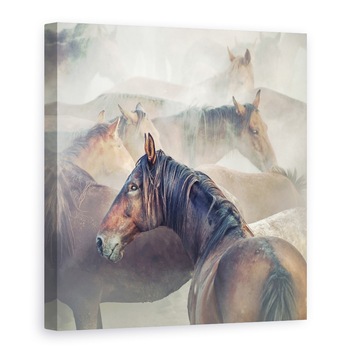 Tablou Canvas - Cai Obositi, Animale, Moale, Praf, 90 x 90 cm Tablou Canvas - Cai Obositi, Animale, Moale, Praf, 90 x 90 cm