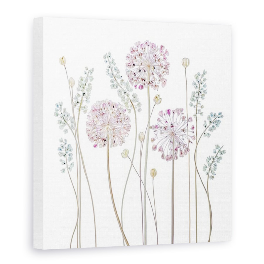 Tablou Canvas - Allium, Floral, Muscari, 90 x 90 cm