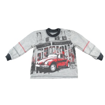 Bluza cu maneca lunga pentru baieti NN BML2-G, Gri, 74 Bluza cu maneca lunga pentru baieti NN BML2-G, Gri, 74