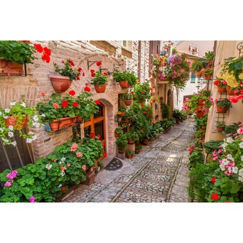 Fototapet de perete autoadeziv si lavabil Strada cu flori, 270 x 200 cm Fototapet de perete autoadeziv si lavabil Strada cu flori, 270 x 200 cm