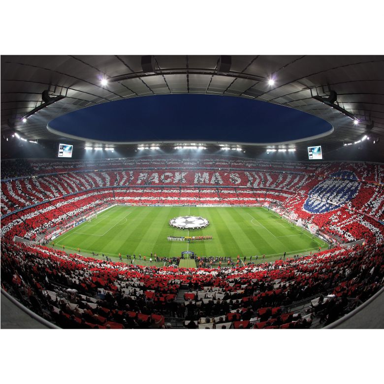 Fototapet cu stadion Wizard & Genius 4037 dimensiune 366cm (L) x 254cm (I) Multicolor