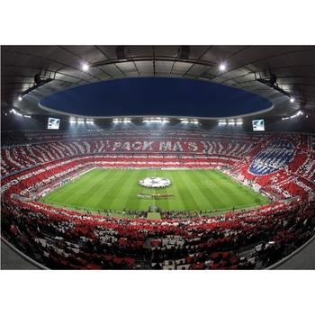 Fototapet cu stadion Wizard & Genius 4037 dimensiune 366cm (L) x 254cm (I) Multicolor Fototapet cu stadion Wizard & Genius 4037 dimensiune 366cm (L) x 254cm (I) Multicolor