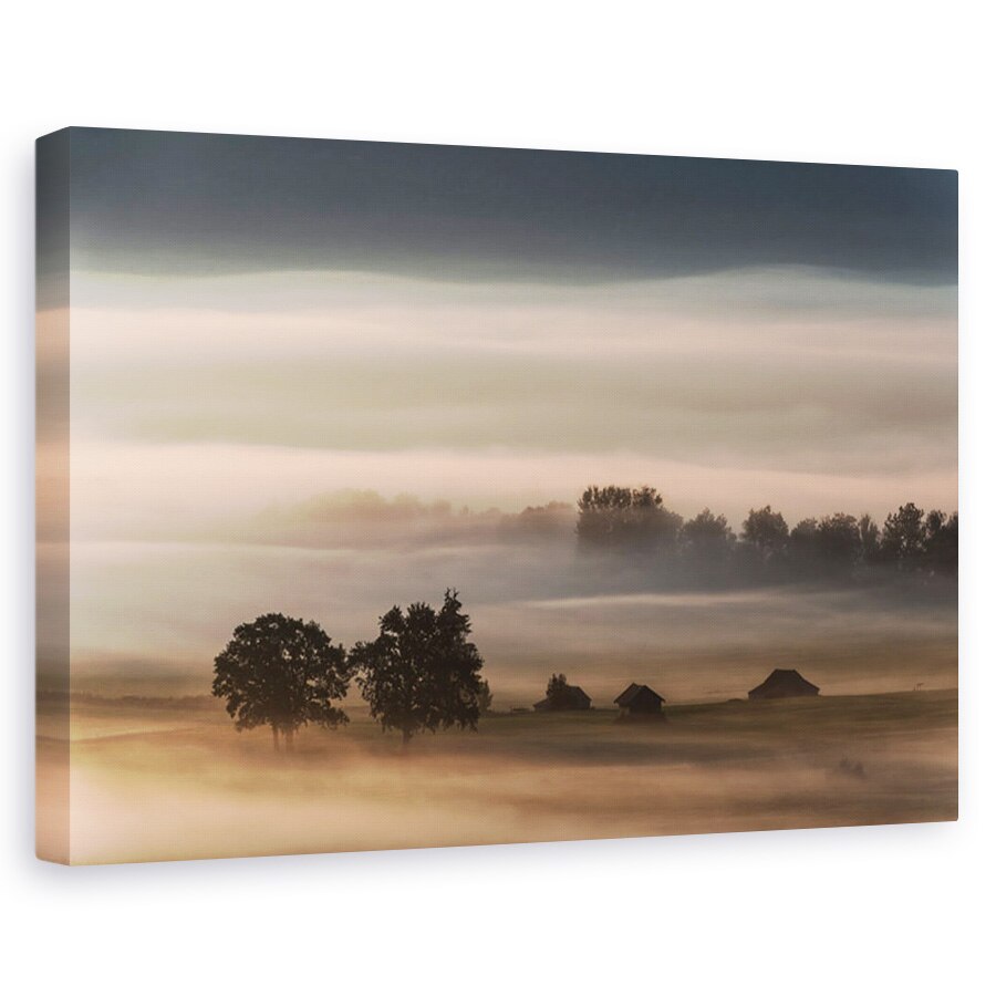 Tablou canvas - Ceata densa peste campie, Peisaj, Copaci, Atmosfera, 60 x 90 cm