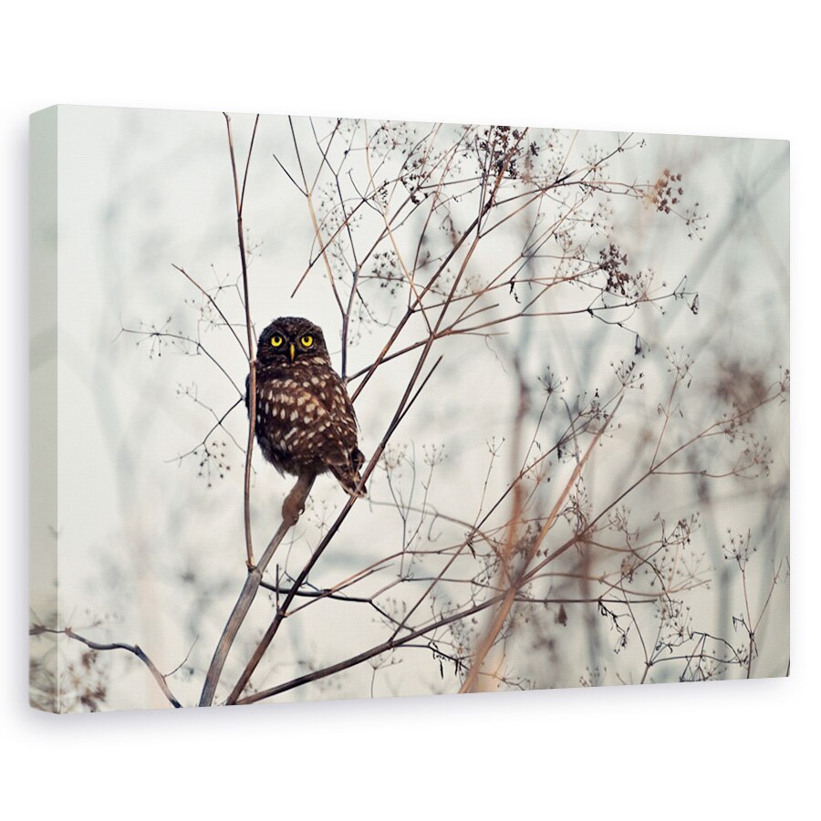 Tablou canvas - Priveste-ma!, Nature, Salbatic, Ochii, Ramura, 60 x 90 cm