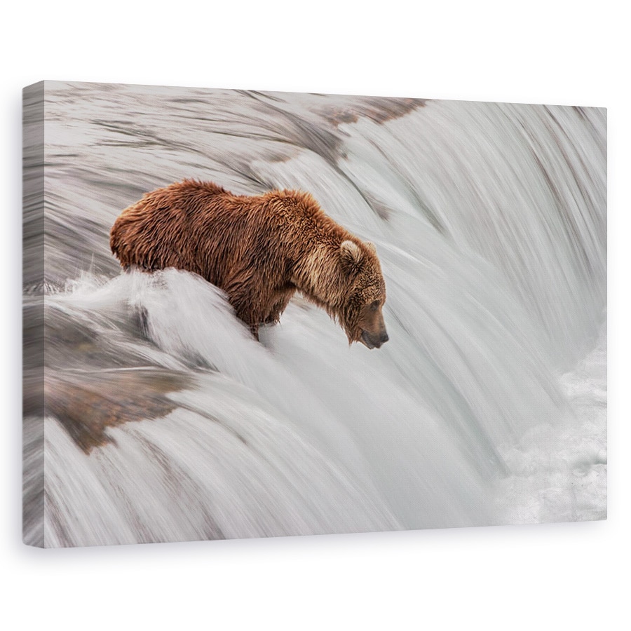 Tablou canvas - Asteptand si urmarind, Nature, Cascada, Urs, Rapid, 60 x 90 cm