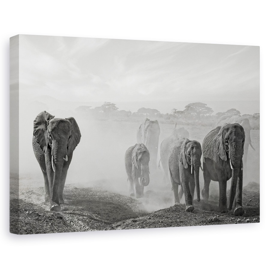 Tablou canvas - Emotie de o clipa, Nature, Elefanti, Salbatice, Kenya, 60 x 90 cm