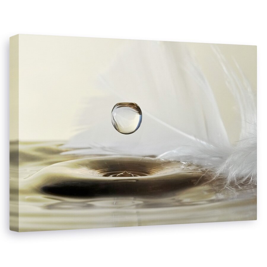 Tablou canvas - Pene si stropi, Flori, Camp, Flori, Vara, 60 x 90 cm