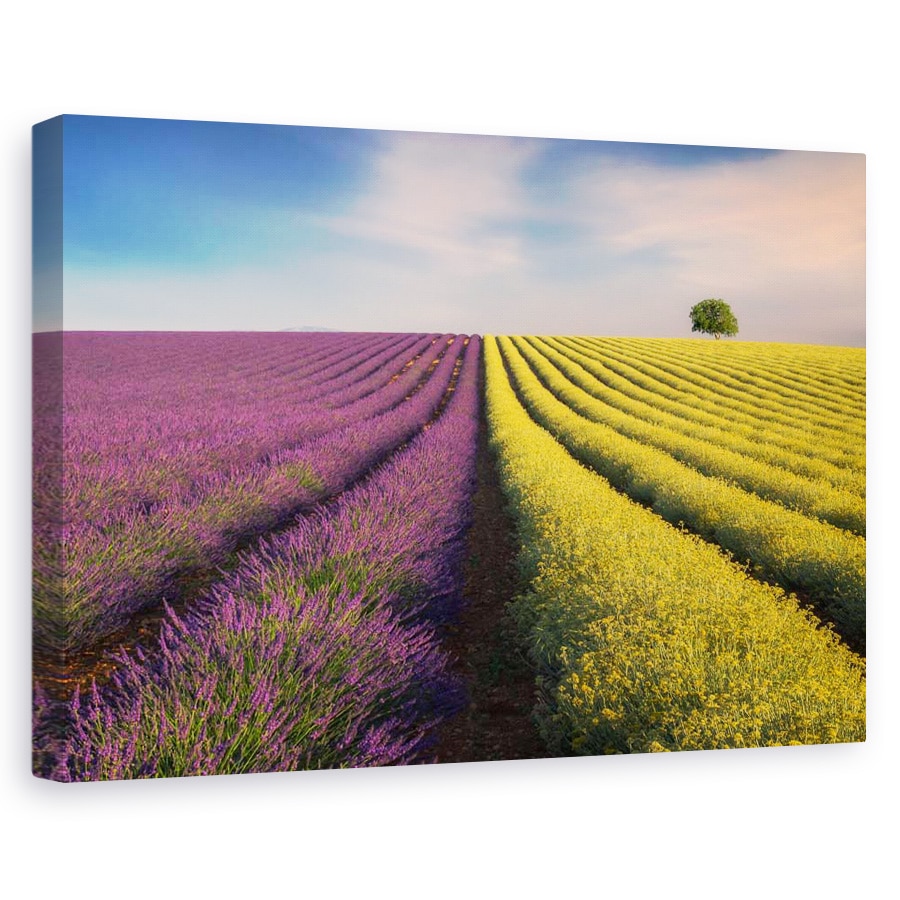 Tablou canvas - Violet si galben, Peisaj, Linii, Galben, Violet, 60 x 90 cm