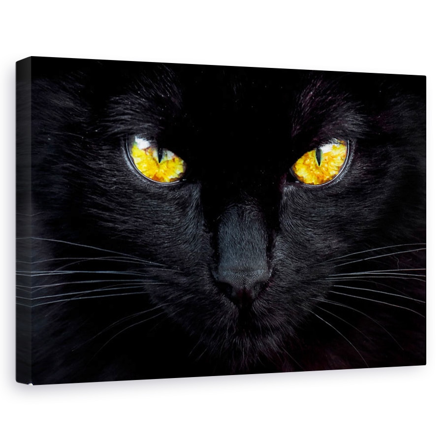 Tablou canvas - Hipnotizatorul noptii, Animal, Ochi, Privire, Ghepard, 60 x 90 cm