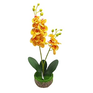 Cauți Frunze Orhidee Artificiale Alege Din Oferta Emag Ro