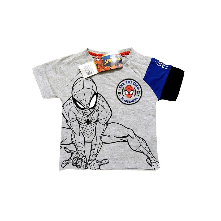 Tricou copii, Spiderman, gri, Gri/Albastru