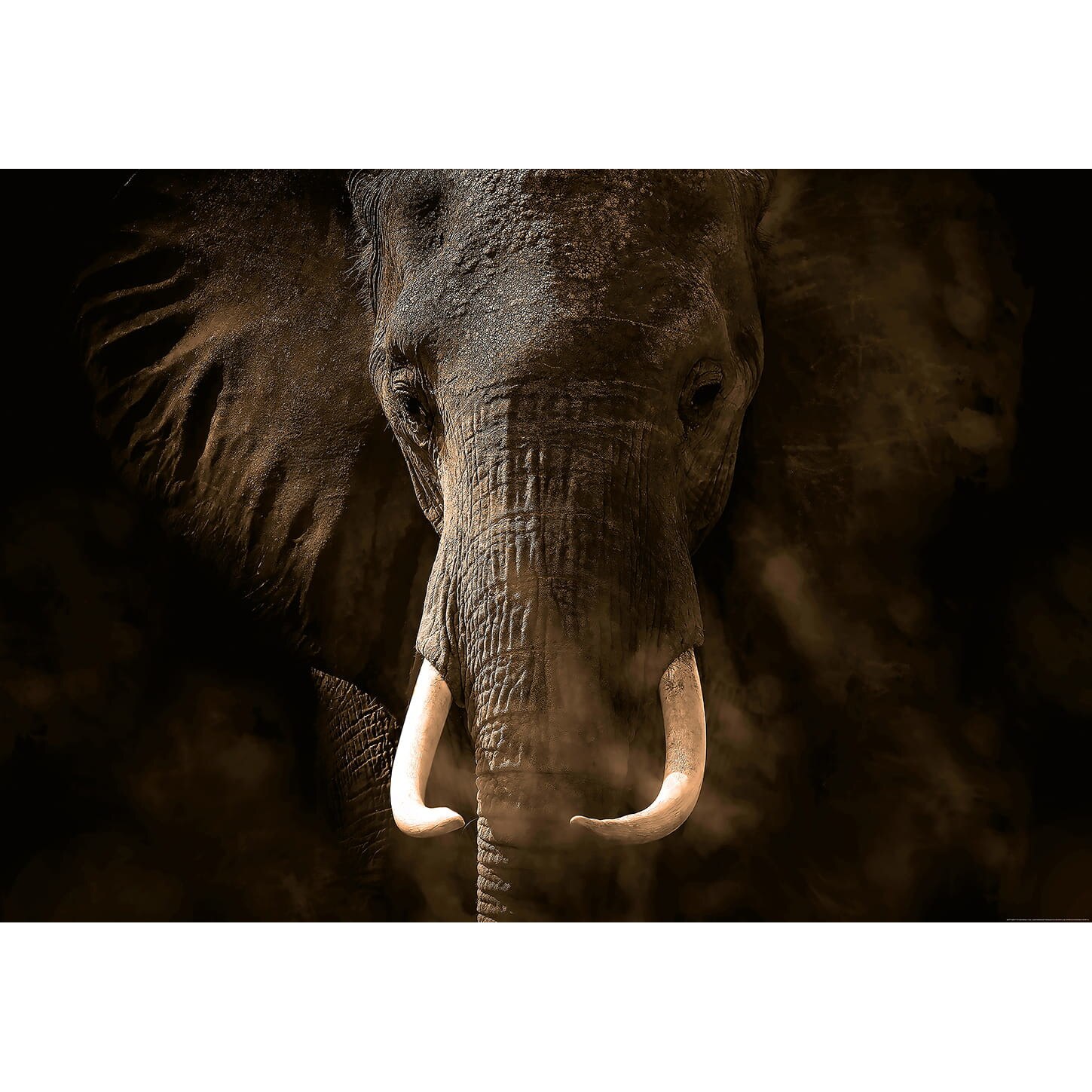 Fototapet cu elefant Wizard & Genius 5083-8 dimensiune 384cm (L) x 260cm (I) maro