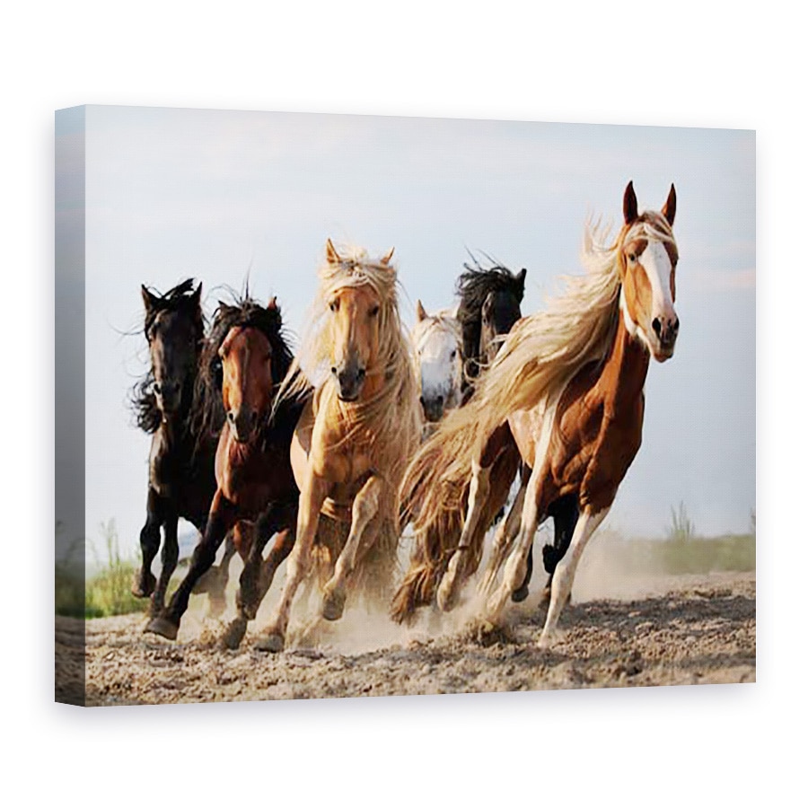 Tablou Canvas - Sasele Norocos, Cal, Actiune, Animale, Putere, Viteza, 30 x 40 cm