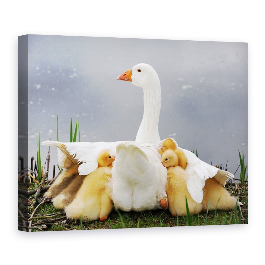 Tablou Canvas - Protectia Mamei, Gasca, Pui, 30 x 40 cm