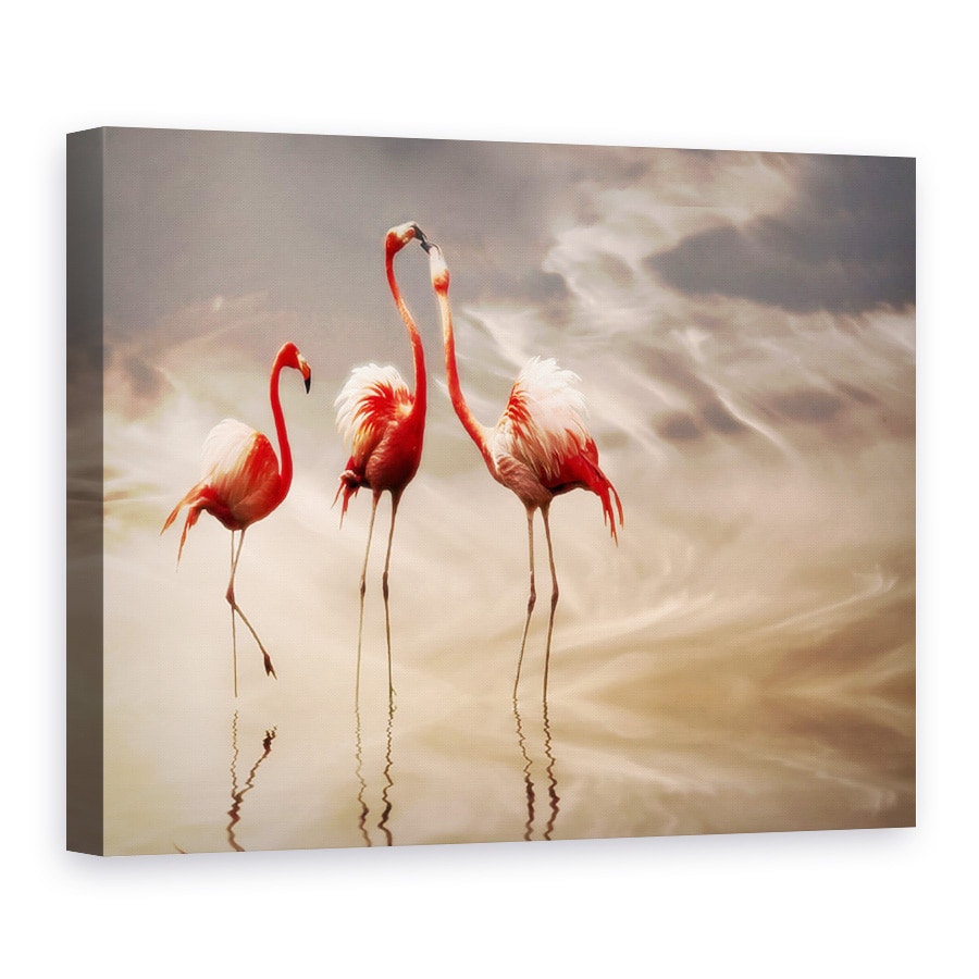 Tablou Canvas - Lupta, Natura, Cer, Nori, Animal, 30 x 40 cm