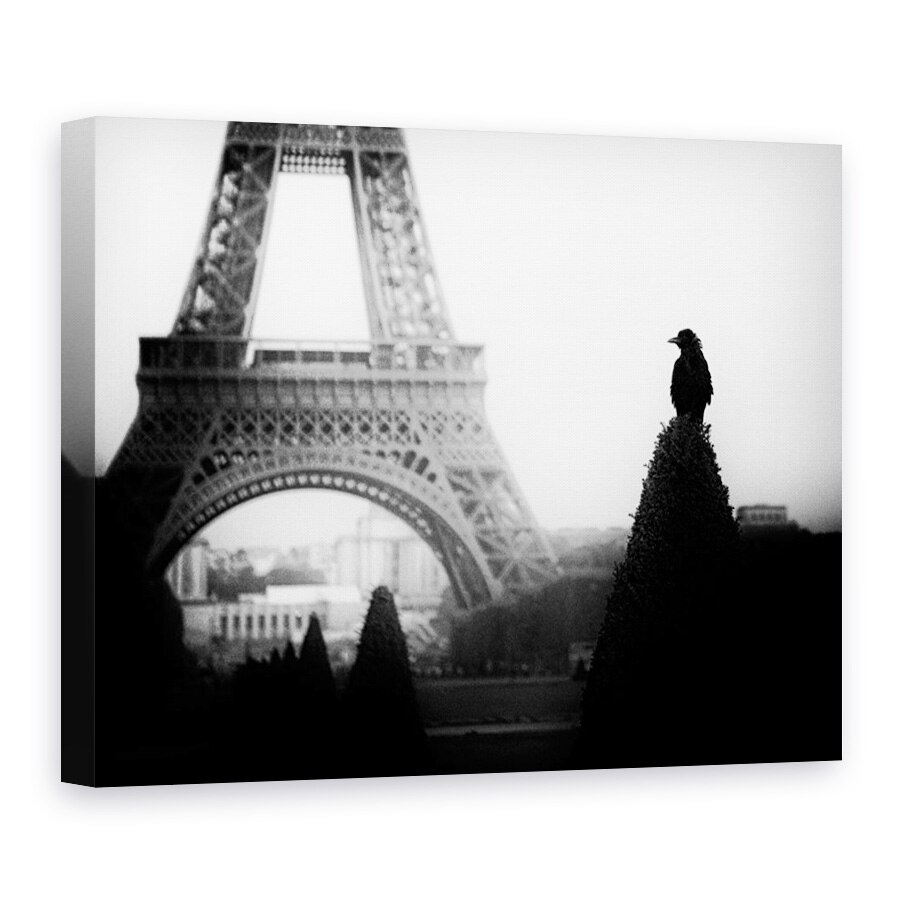 Tablou Canvas - Cioara, Multime, Franta, Peisaj Urban, La Paris, Alb-Negru, 30 x 40 cm