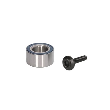 Set rulment roata VW PASSAT 3B3 FAG 713 6102 90 Set rulment roata VW PASSAT 3B3 FAG 713 6102 90