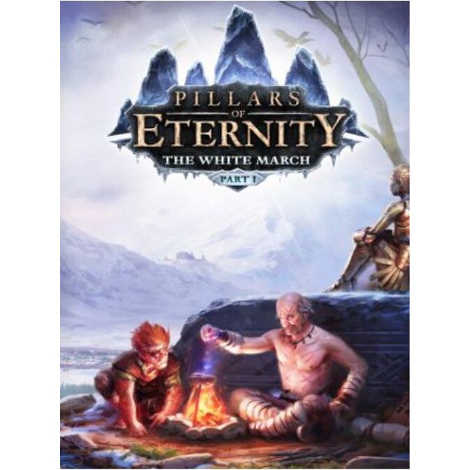 Joc Pillars of Eternity - The White March Part 2 DLC Steam Key Global PC (Cod Activare Instant)