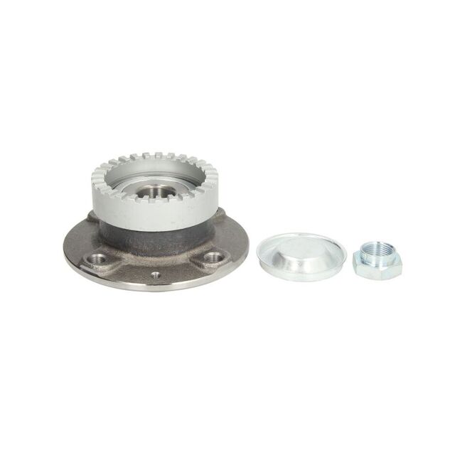Set rulment roata CITROEN ZX Break N2 BTA H2P007BTA - eMAG.ro