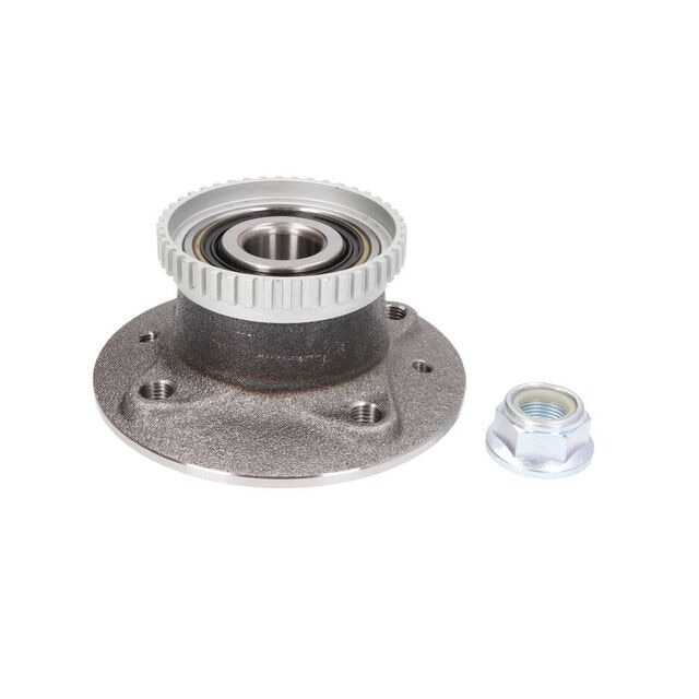 Set rulment roata RENAULT MEGANE Scenic JA0 1 FAG 713 6306 50