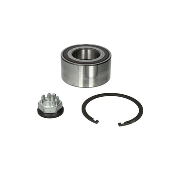 Set rulment roata DACIA DUSTER FAG 713 6311 10 Set rulment roata DACIA DUSTER FAG 713 6311 10