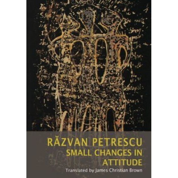 Small Changes in Attitude - Razvan Petrescu, editia 2011