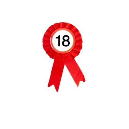 Insigna rosie 18 ani, Poem