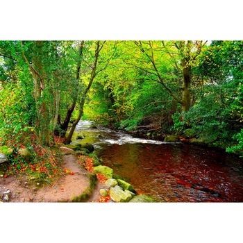 Fototapet de perete autoadeziv si lavabil Raul din padurea verde, 270 x 200 cm Fototapet de perete autoadeziv si lavabil Raul din padurea verde, 270 x 200 cm