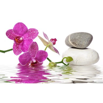 Fototapet de perete autoadeziv si lavabil Orhidee, pietre si apa, 270 x 200 cm Fototapet de perete autoadeziv si lavabil Orhidee, pietre si apa, 270 x 200 cm