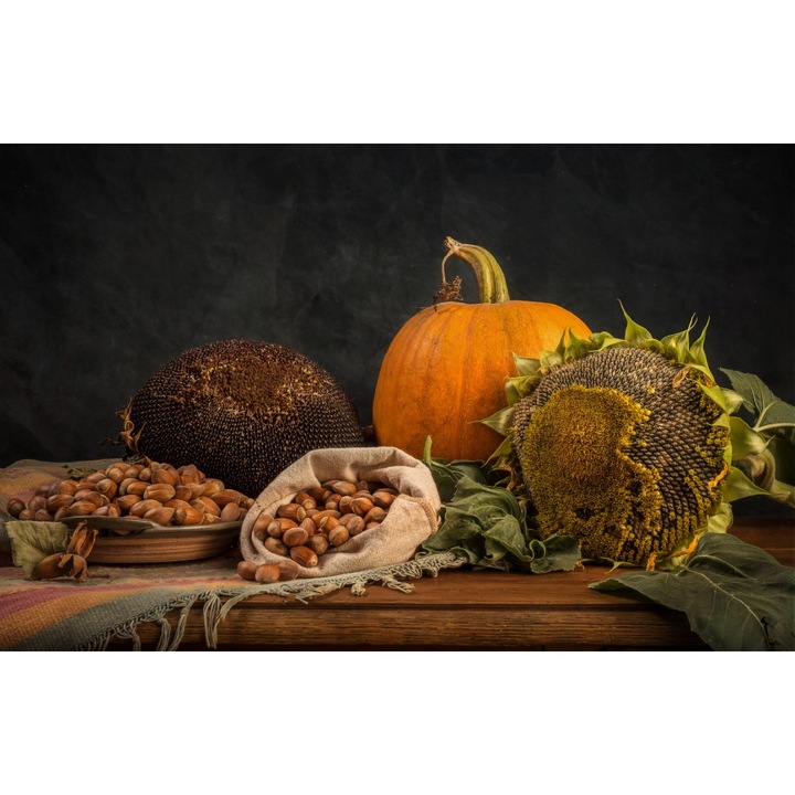 Fototapet de perete autoadeziv si lavabil Aranjament rustic, 270 x 200 cm