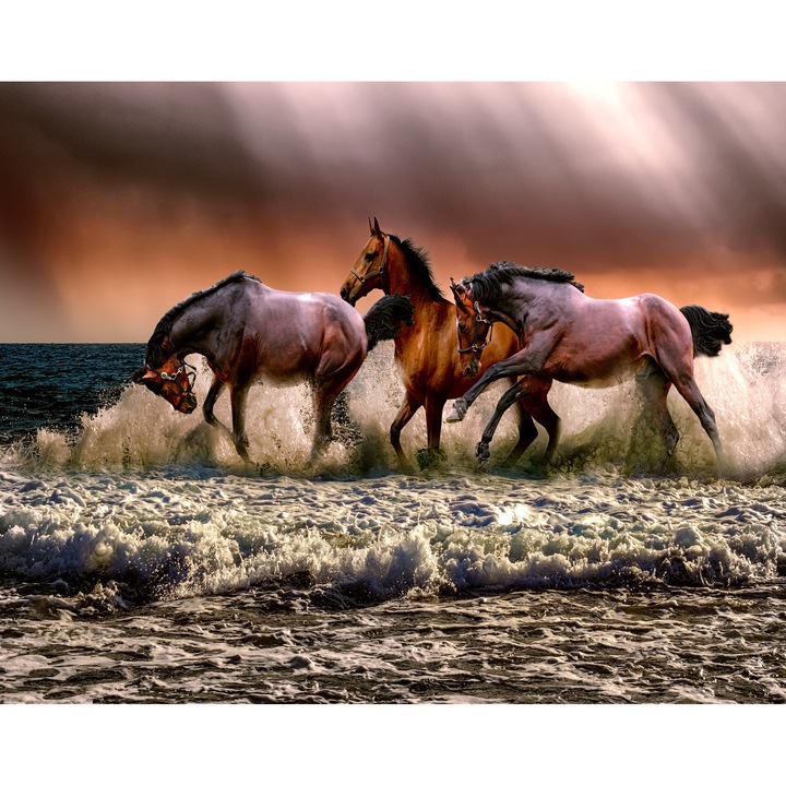 Fototapet Cai maro in galop, 200 x 150 cm