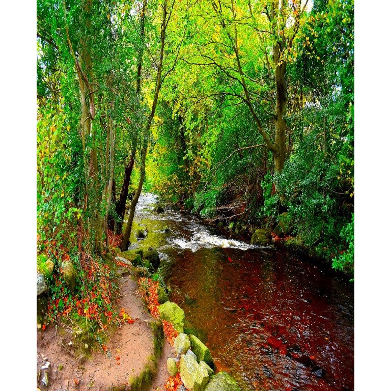 Fototapet de perete autoadeziv si lavabil Raul din padurea verde, 135 x 225 cm